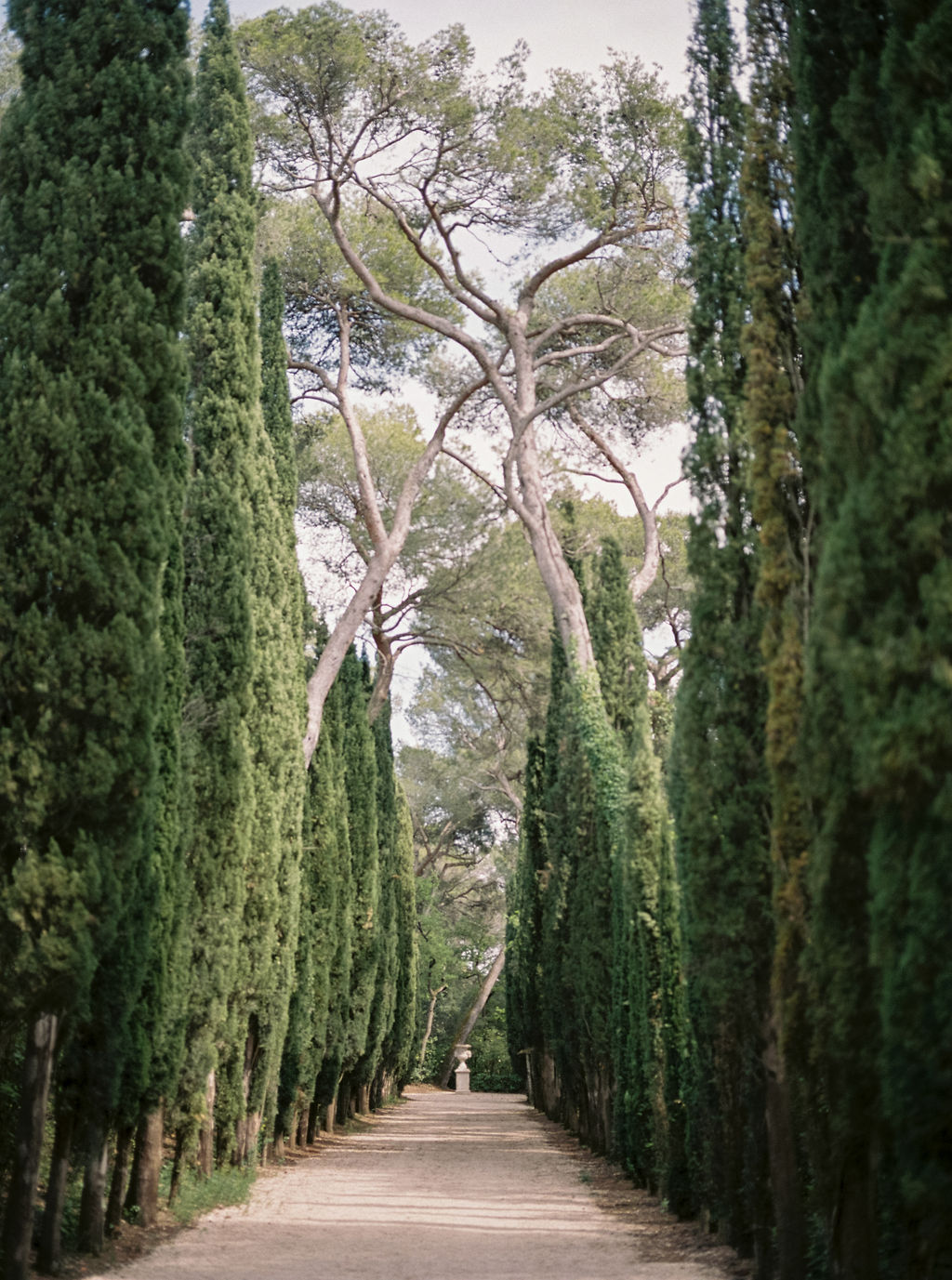 chateau-martinay-alley